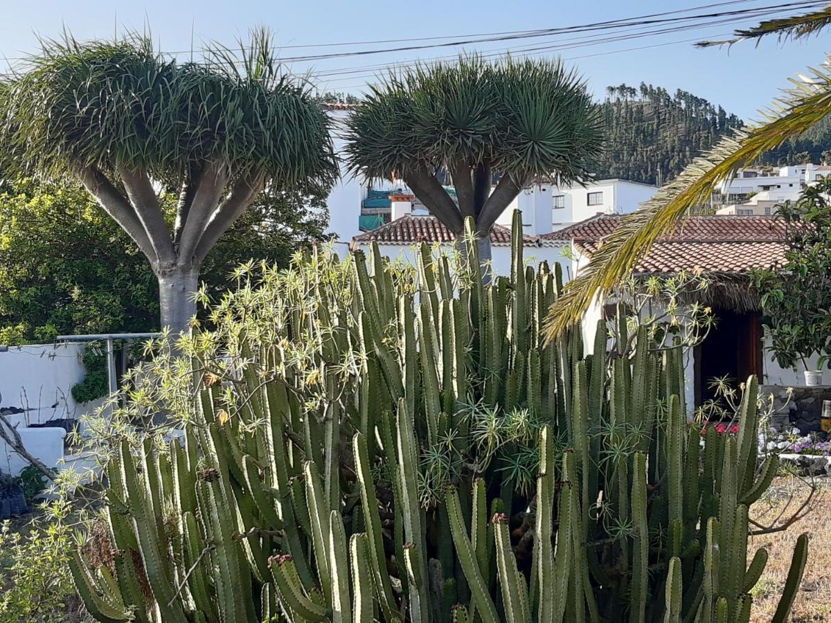 Casa Rural Los Dragos Fuencaliente de la Palma Eksteriør bilde